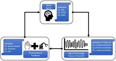 Hand-worn devices for assessment and rehabilitation of motor function and their potential use in BCI protocols: a review